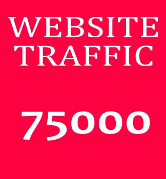 75.000 weltweite Besucher, Traffic, Marketing und Promotion, Suchmaschinenoptimierung