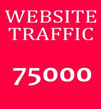 75.000 Webiste Besucher kaufen, Traffic, reale besucher, ranking