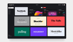 Ein Google Fonts Checker zeigt die Schriftarten einer Website an